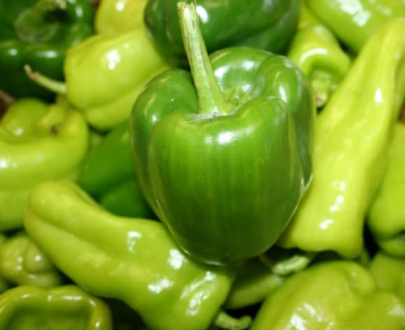 Beginning Peppers from Seeds – Residence Backyard Pleasure